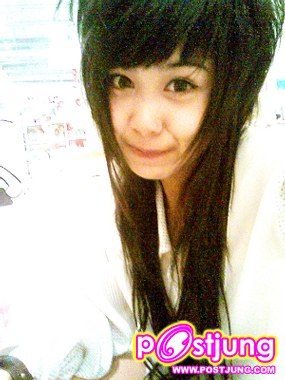 ต้นปาล์ม