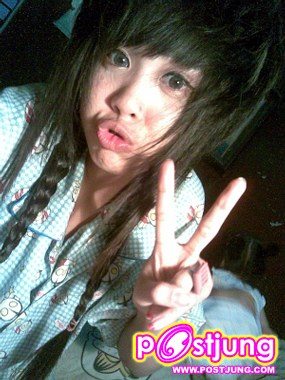 ต้นปาล์ม