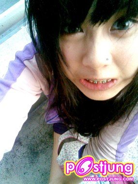 ต้นปาล์ม