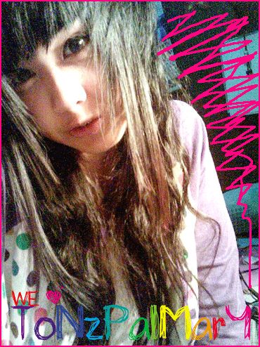 ต้นปาล์ม