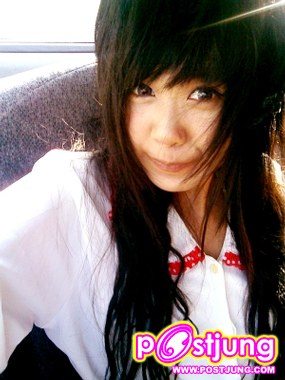 ต้นปาล์ม