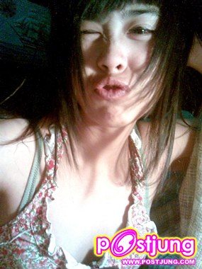 ต้นปาล์ม