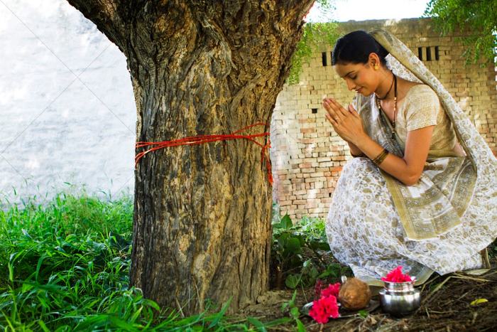 The Worship of Ashwatha, the Peepal tree known botanically as Ficus religiosa is sacred to Hindus as well as Buddhists. - Sri Lanka Worship of Plants The Ashwatha: Tree of Life
