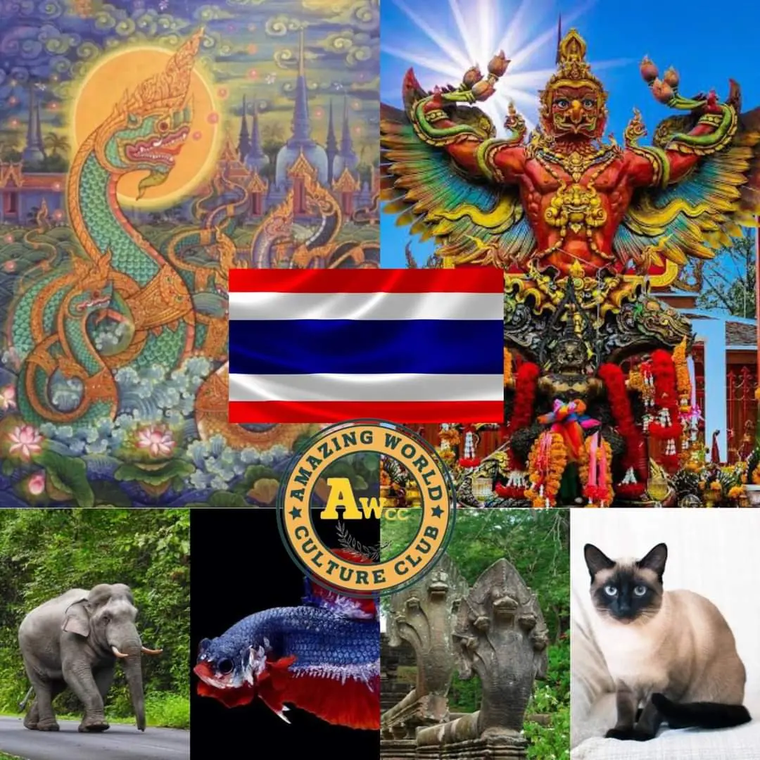 This is Thailand | THAILAND 🇹🇭