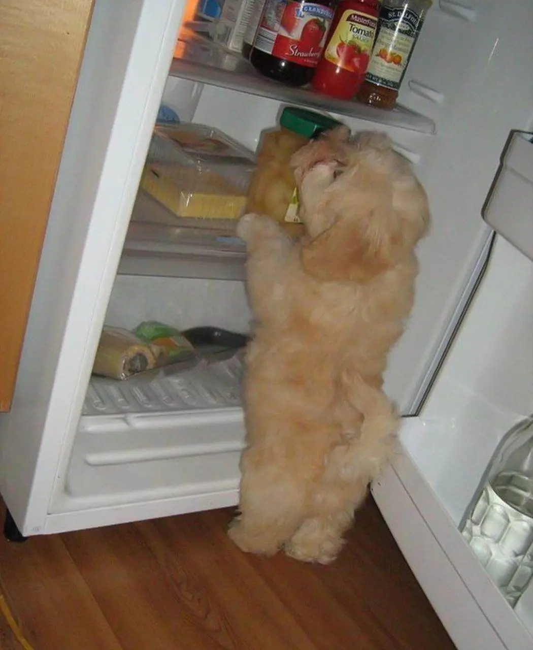 เปิด..ตู้เย็น
