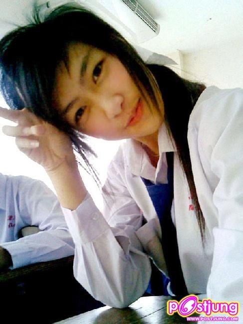 แพน. เชียงใหม่