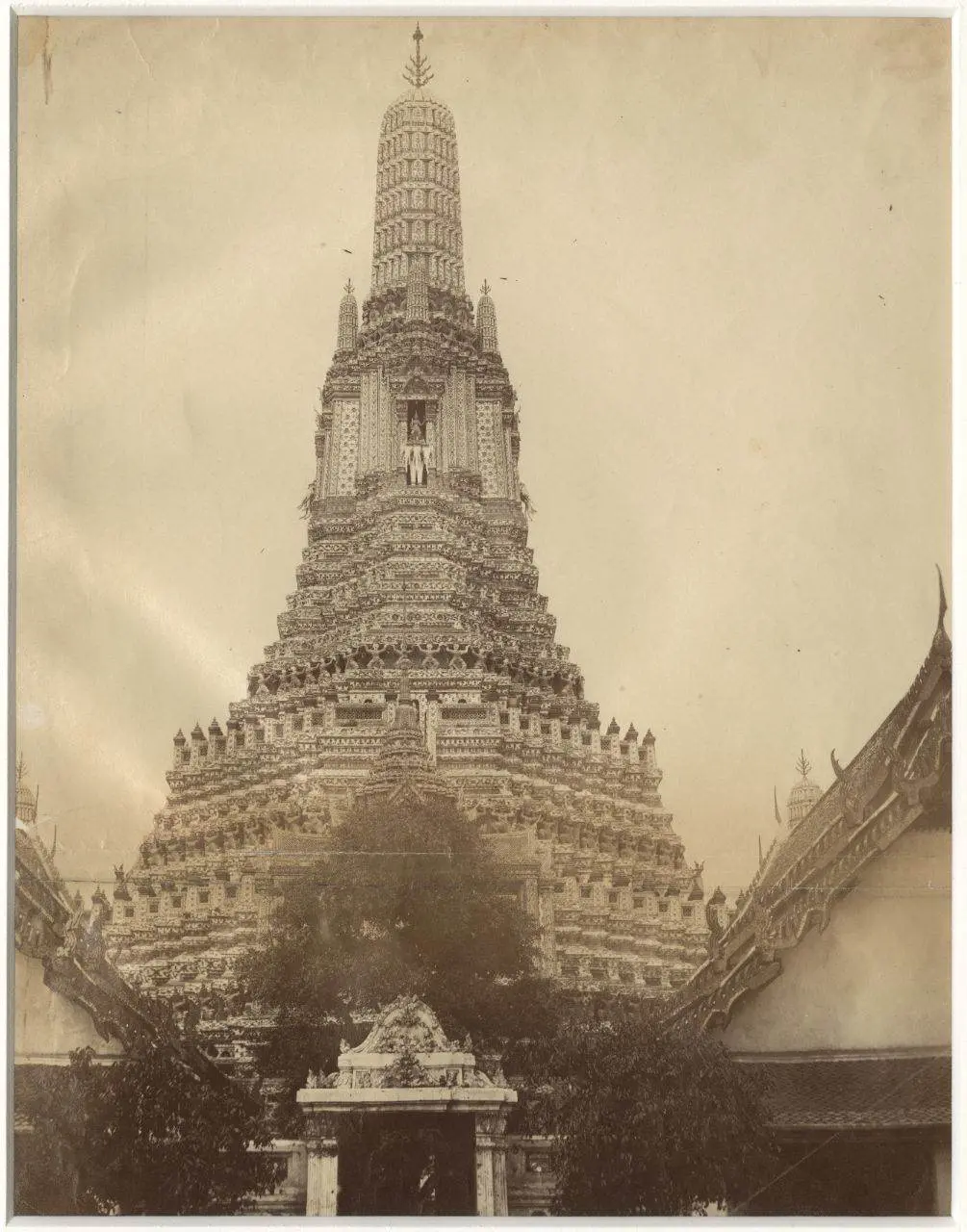 🇹🇭 THAILAND | SIAMESE ANCIENT PHOTO