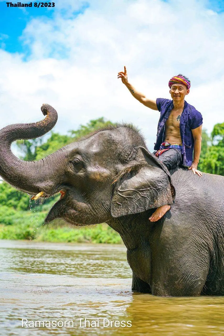 Thai Guy and the Elephant 🇹🇭