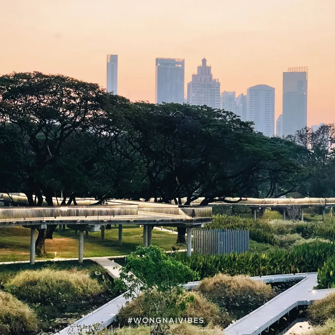Benjakitti Park, Bangkok 🇹🇭
