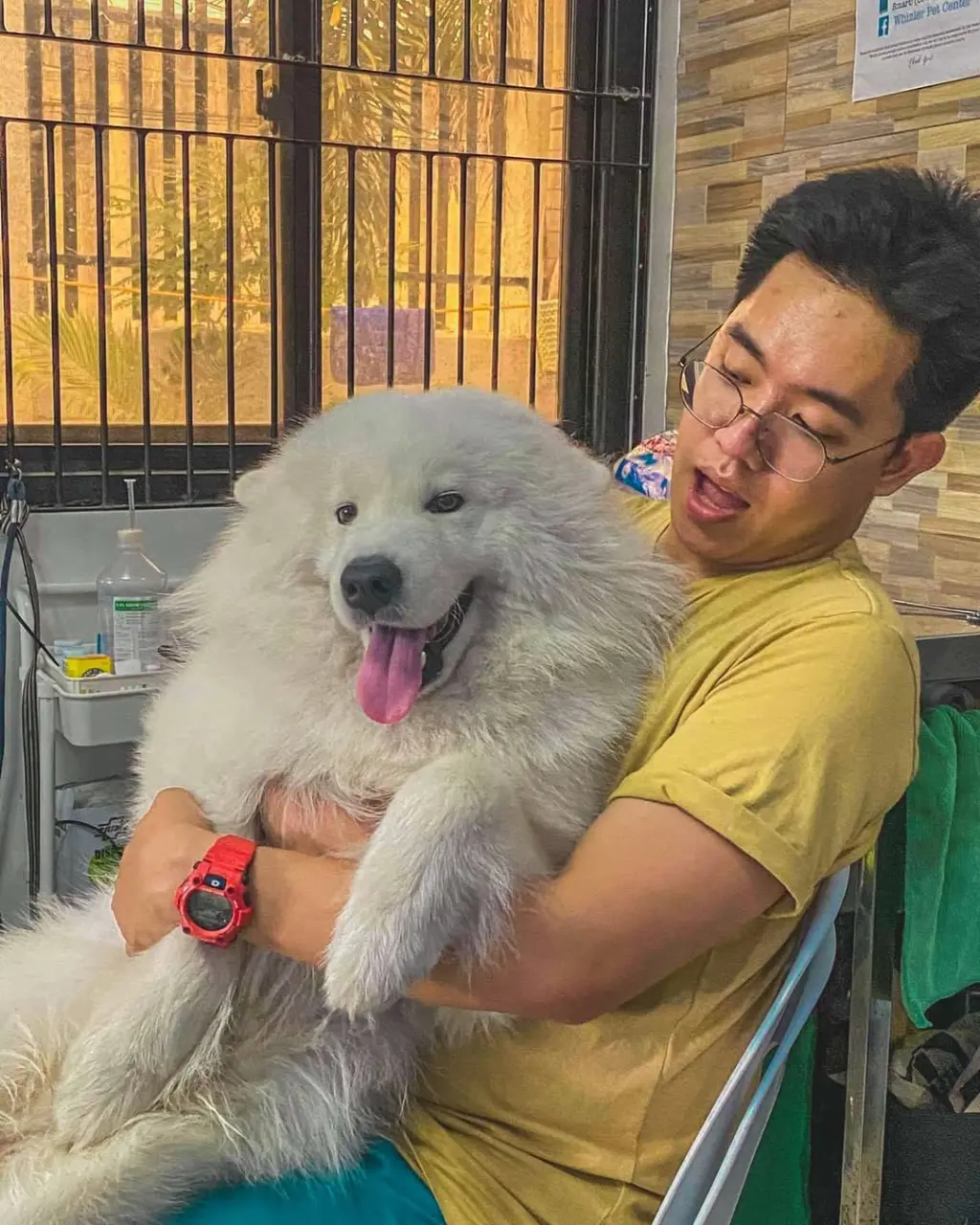 Veterinarian from the Philippines : Dennis Sayco Jr.