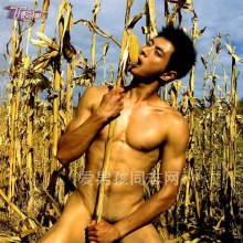 หนุ่มบ้านไร่