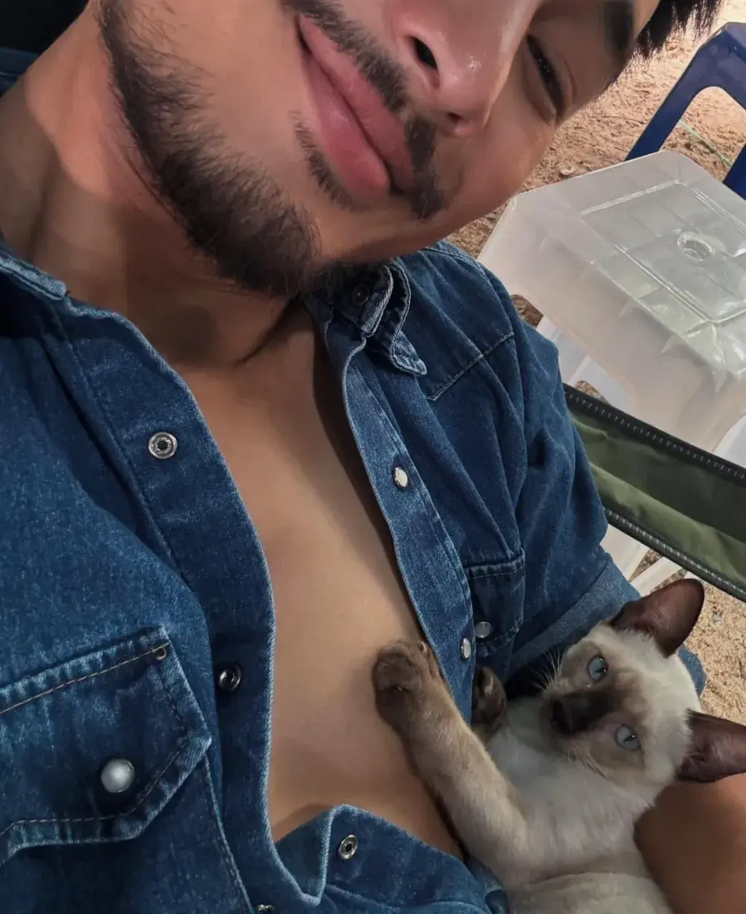 คลุๆชิคๆ