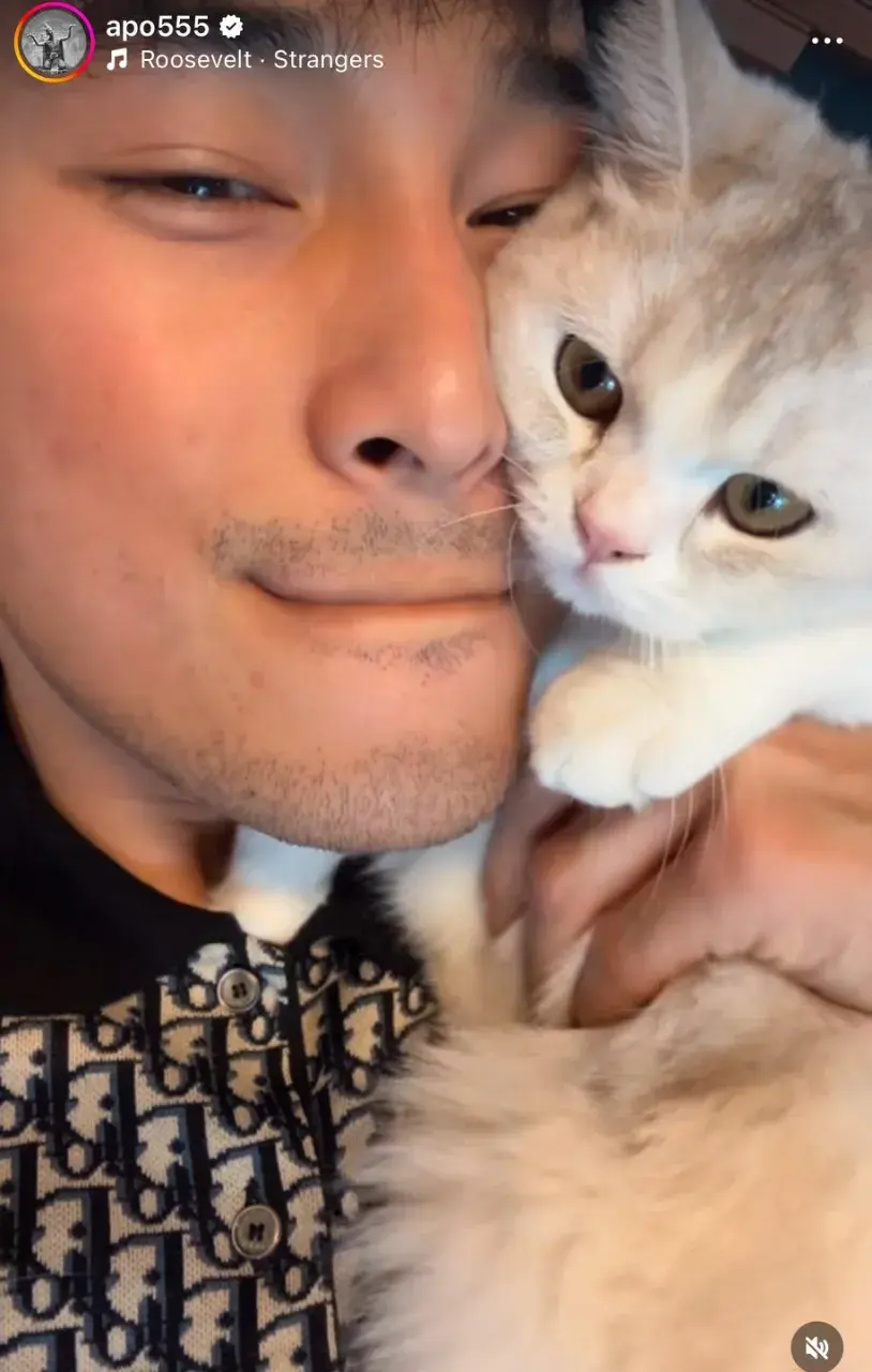 คลุๆชิคๆ