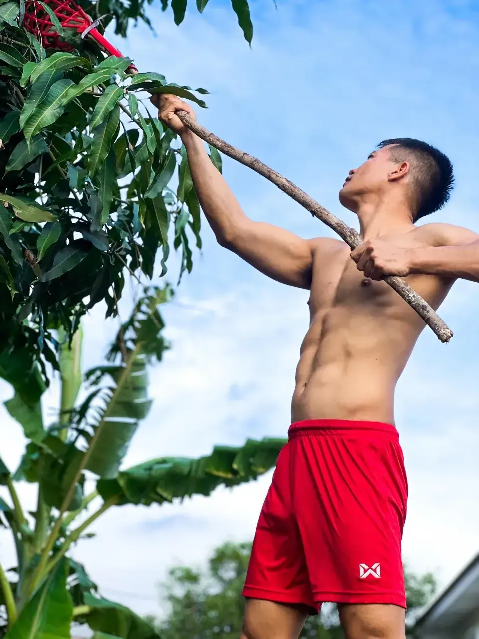 นมกล้ามน้ามมแตก