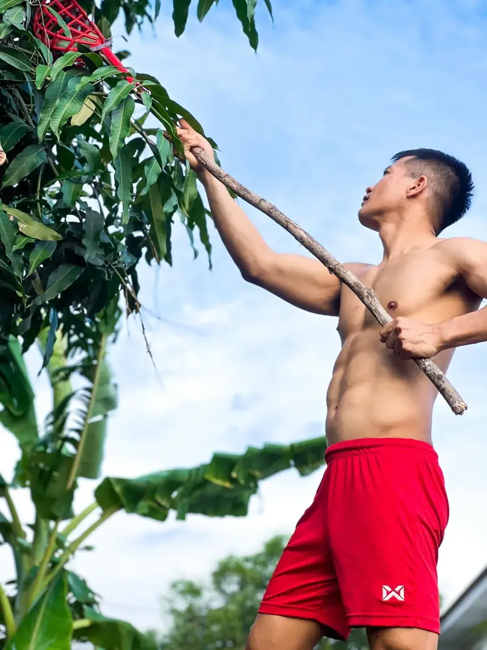 นมกล้ามน้ามมแตก