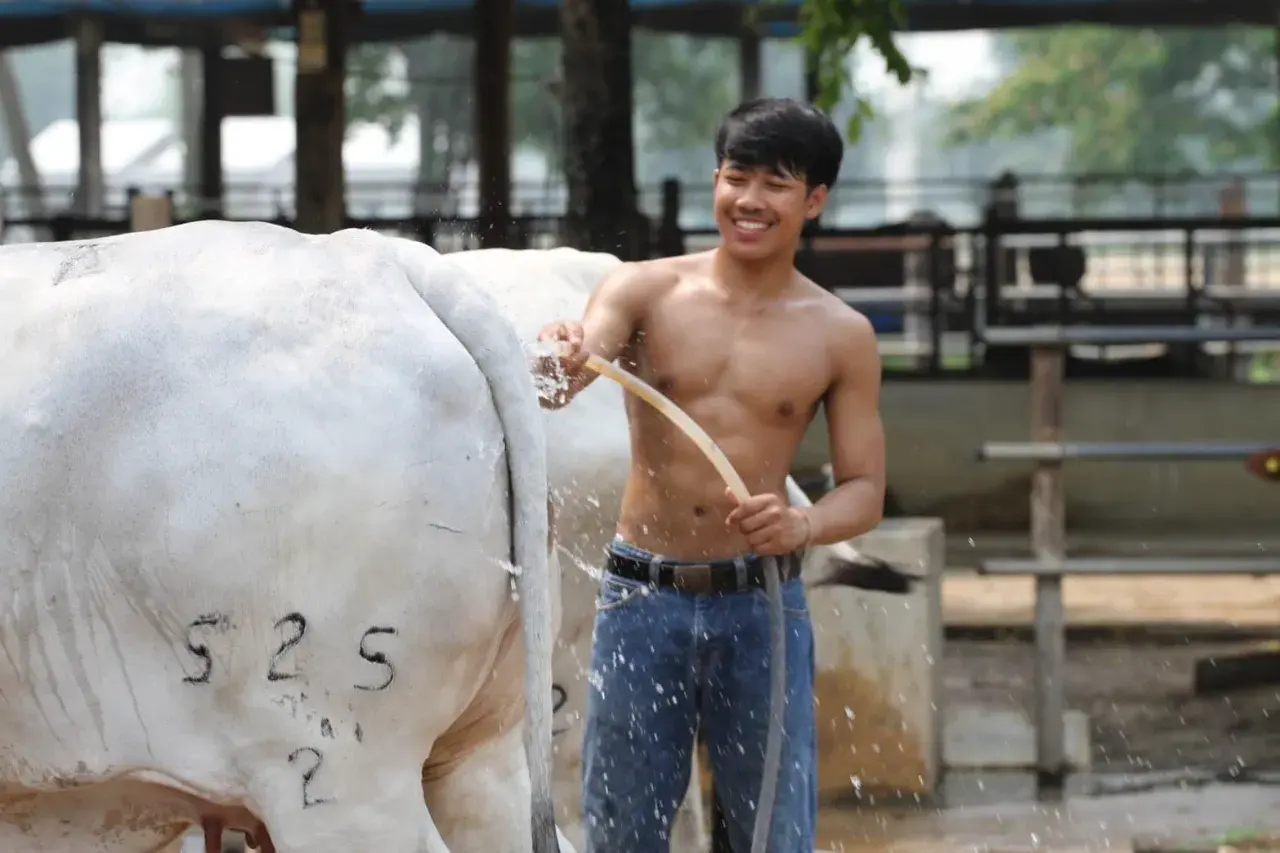 จะมวยให้สุดลำโค้ก