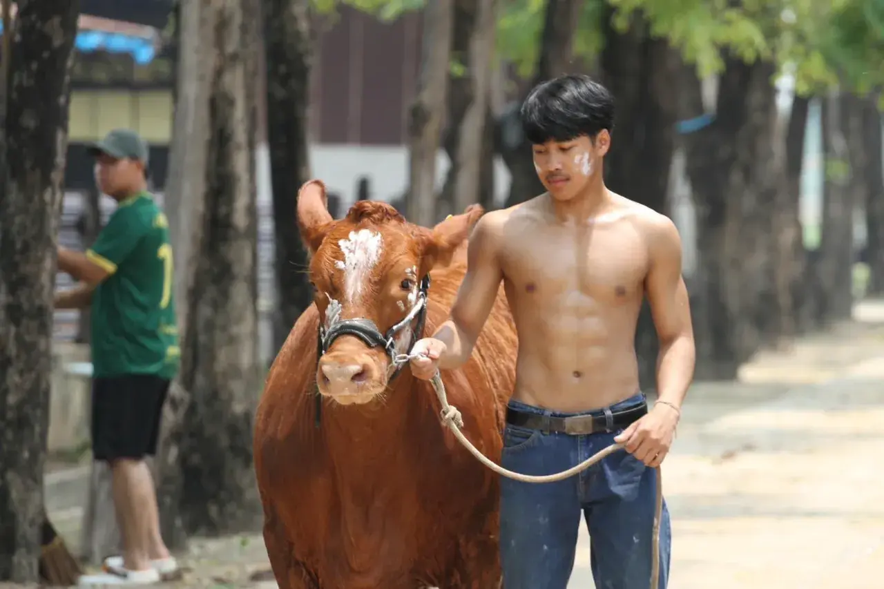 จะมวยให้สุดลำโค้ก