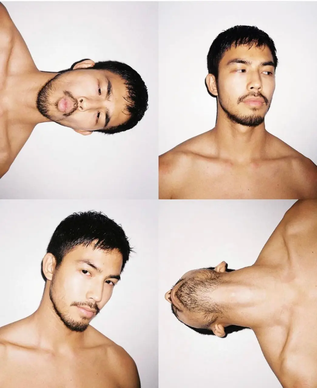 Actor & singer : Tony Labrusca