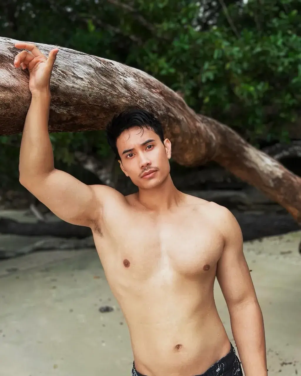 หิวนมหมี