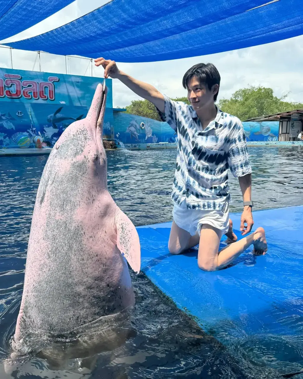 มาร์ช จุฑาวุฒิ ภัทรกำพล 1