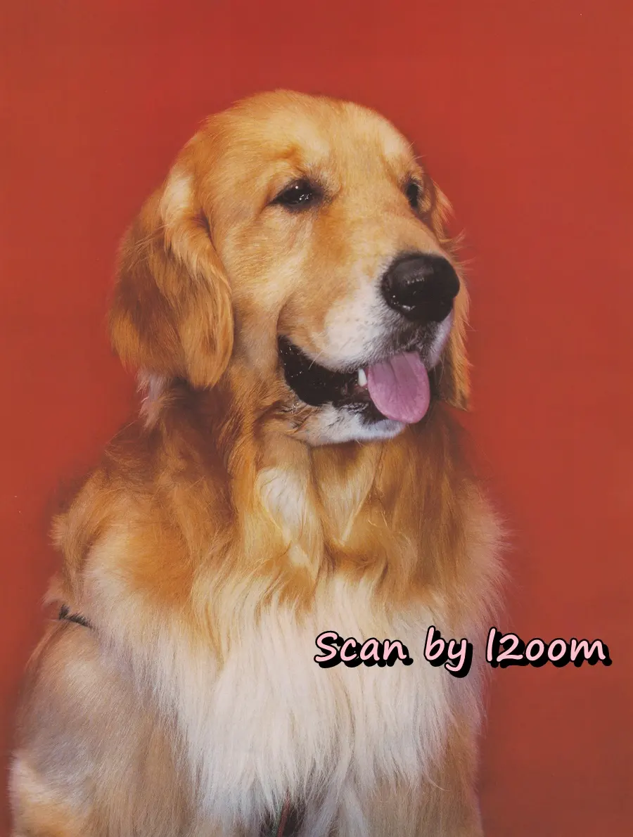 (วันวาน) หนุ่ม ศรราม & แพทริค ชานน @ นิตยสาร เปรียว ฉบับที่ 538 ธันวาคม 2547