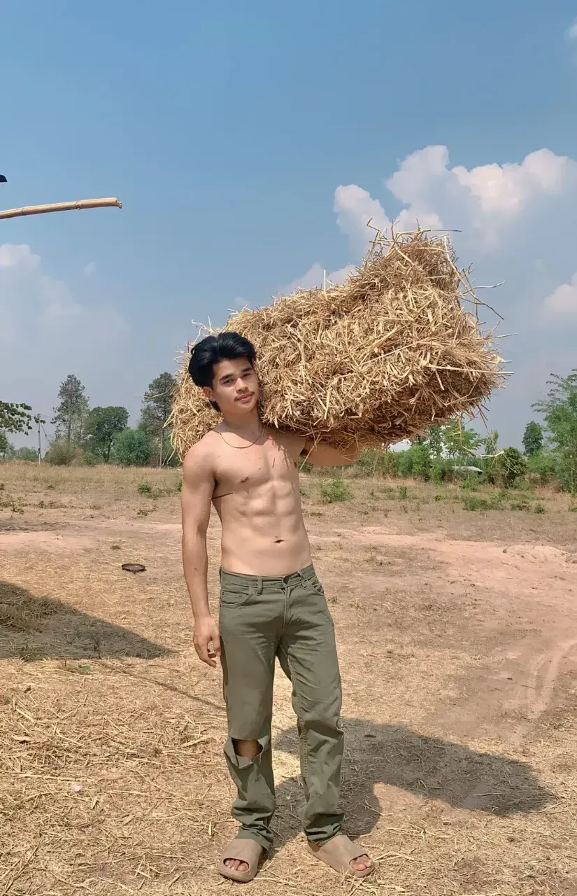 รวมมาฟิน