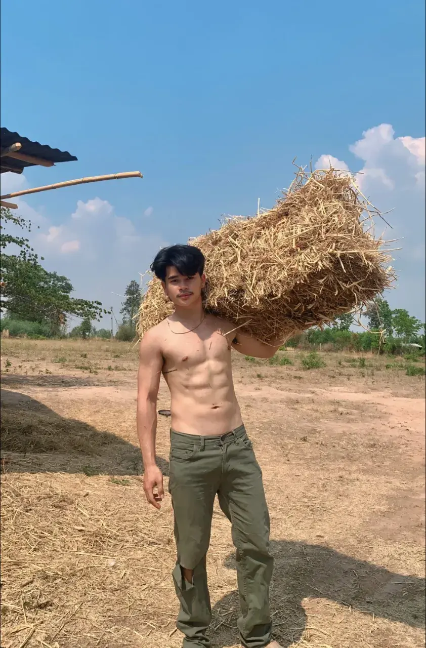 รวมมาฟิน