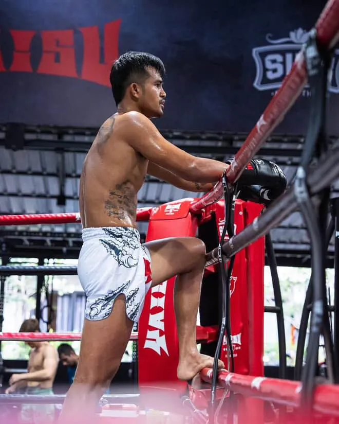 เจ็บกี่หนจะทนเพราะรัก