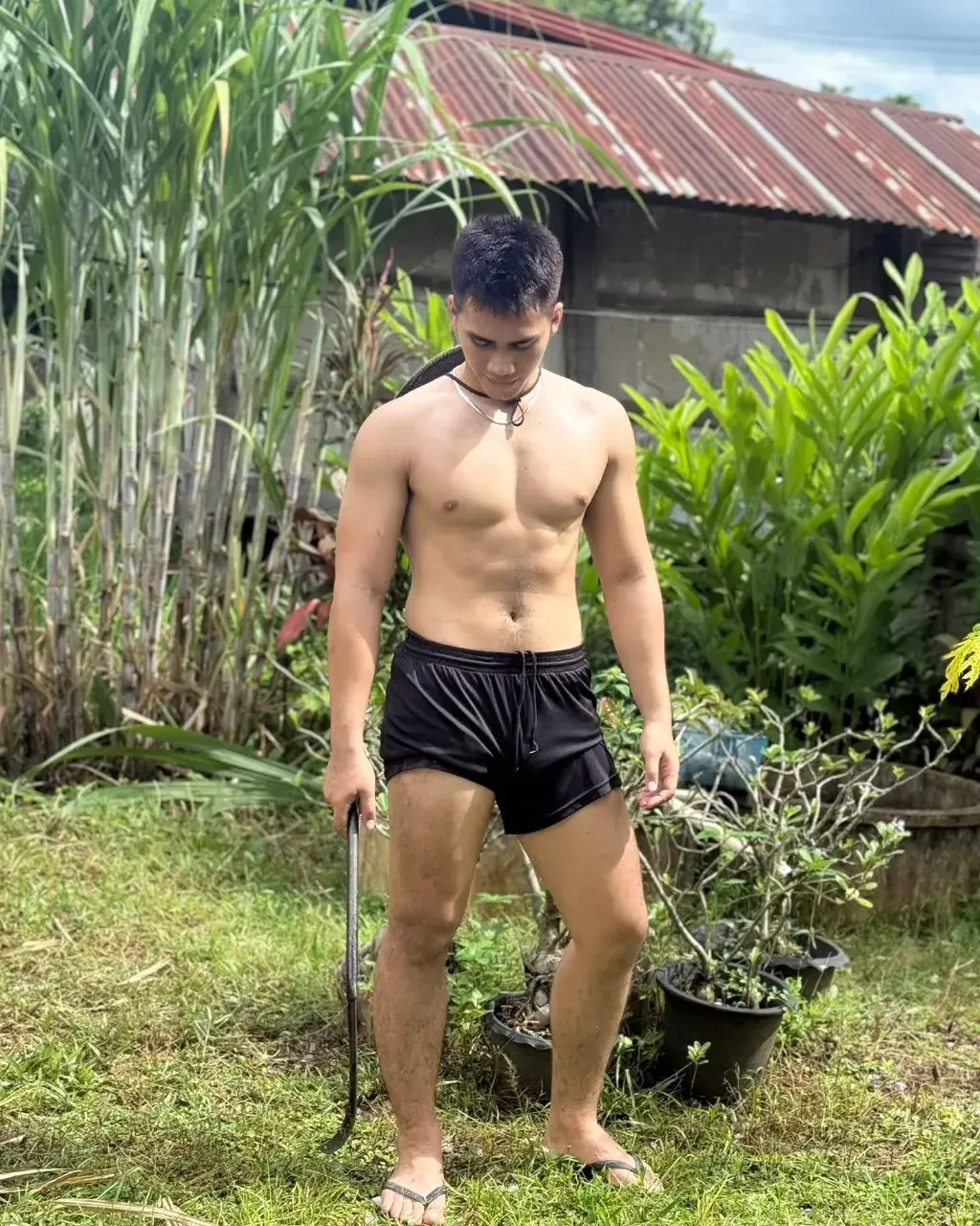 ดูดรูดเลีย