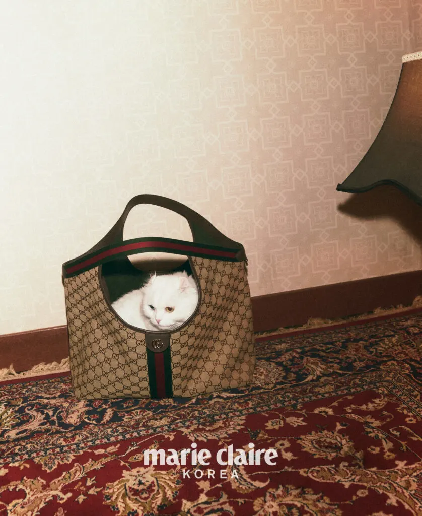 Park Gyu Young @ Marie Claire Korea July 2025
