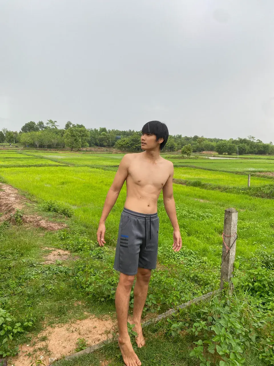 อาเต๋าไทบ้าน