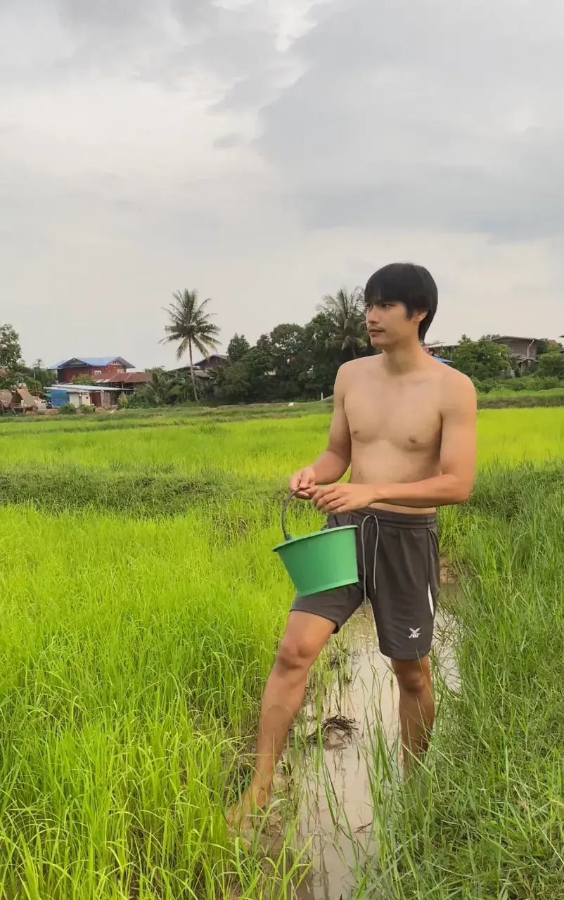 อาเต๋าไทบ้าน