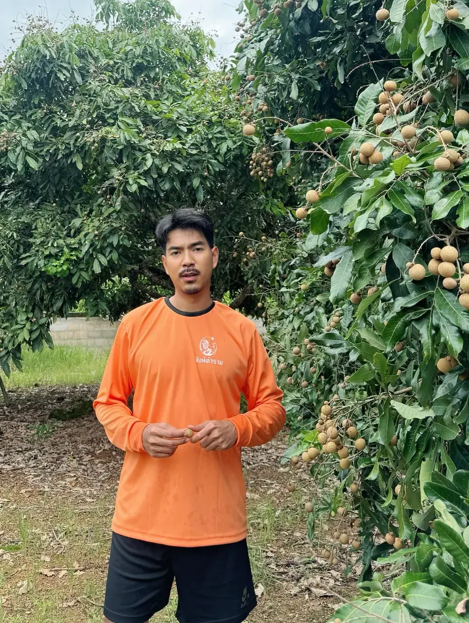 ยอมขมคอ