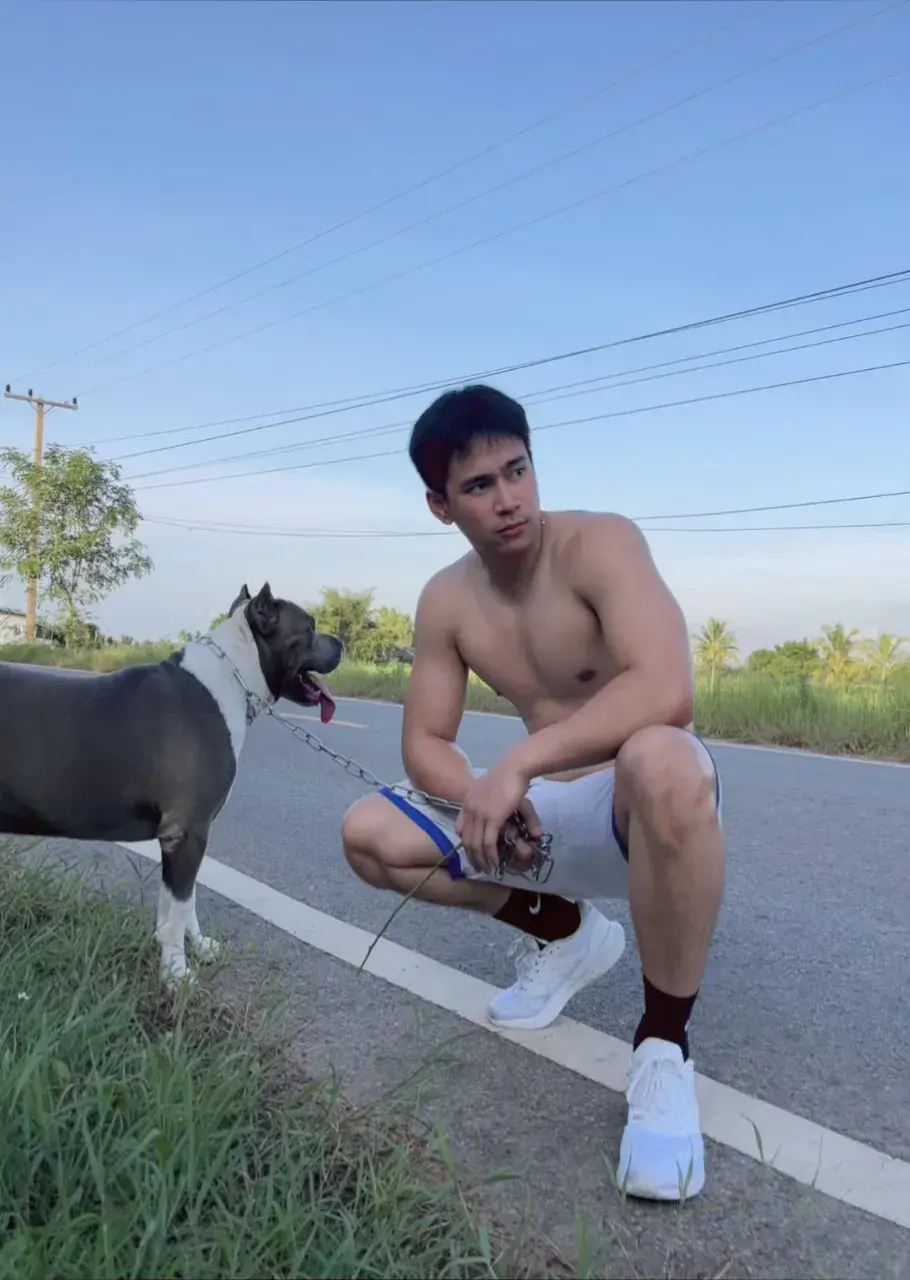 เอื้อยค้าปปป