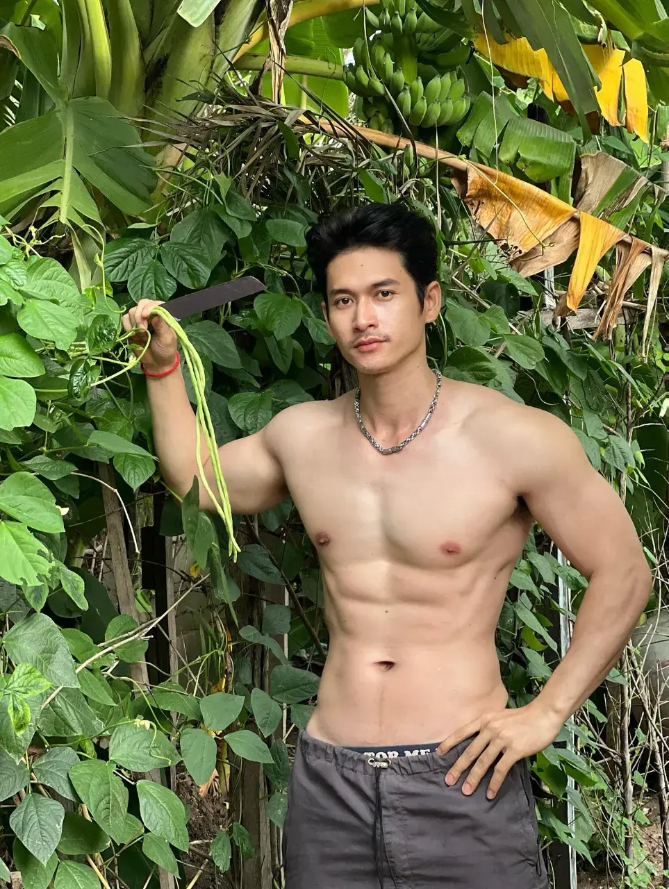 ในความพรี่เมียม