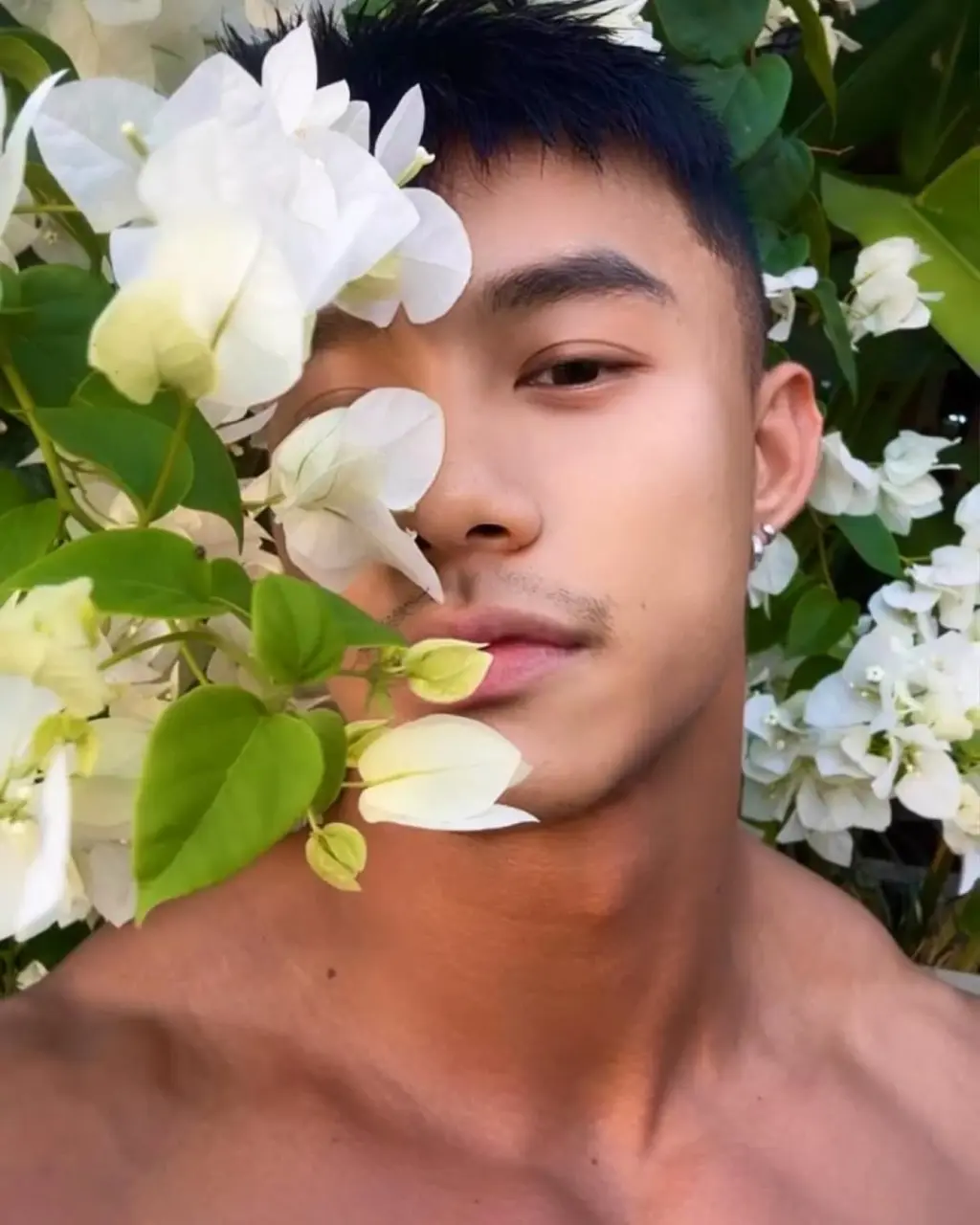 Fitness model : E V Λ Ν