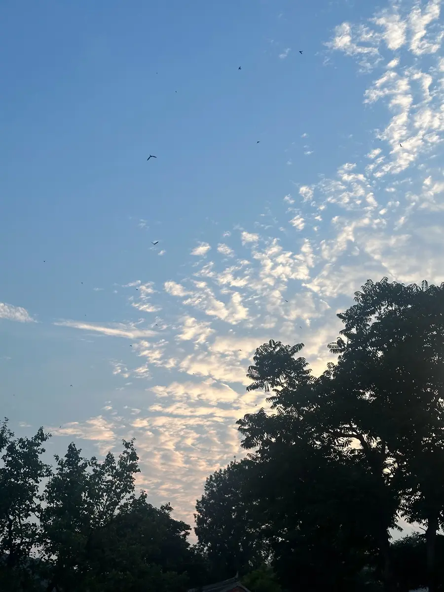 บูม รวีวิชญ์ @ Harper’s BAZAAR China August 2025