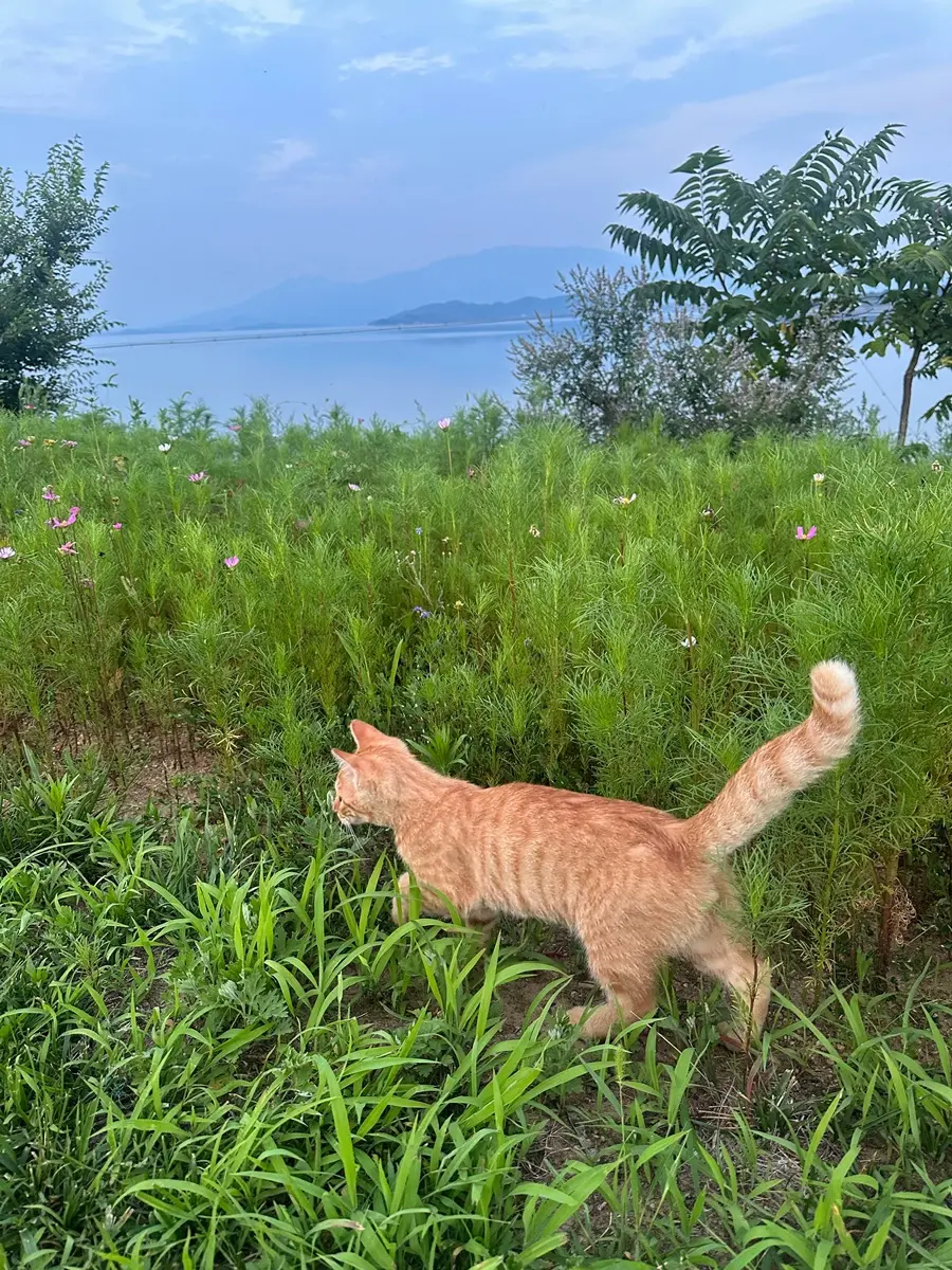 บูม รวีวิชญ์ @ Harper’s BAZAAR China August 2025