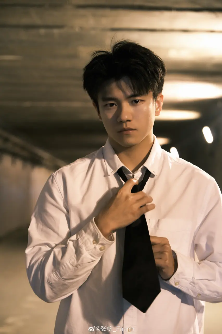 Actor : Zhang Fan / 张帆