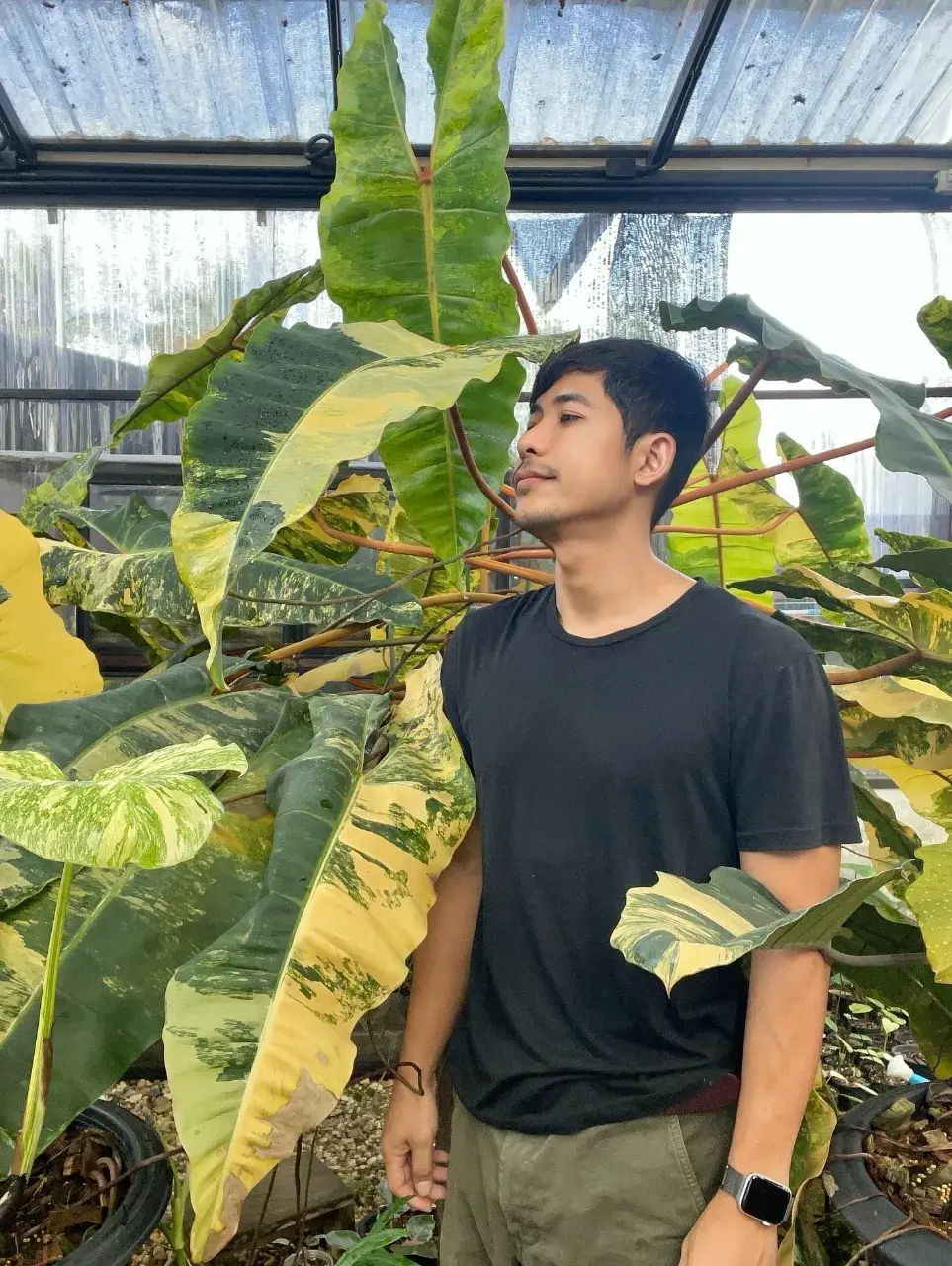 ครางงงงสิว่า ผัวววววขาาา