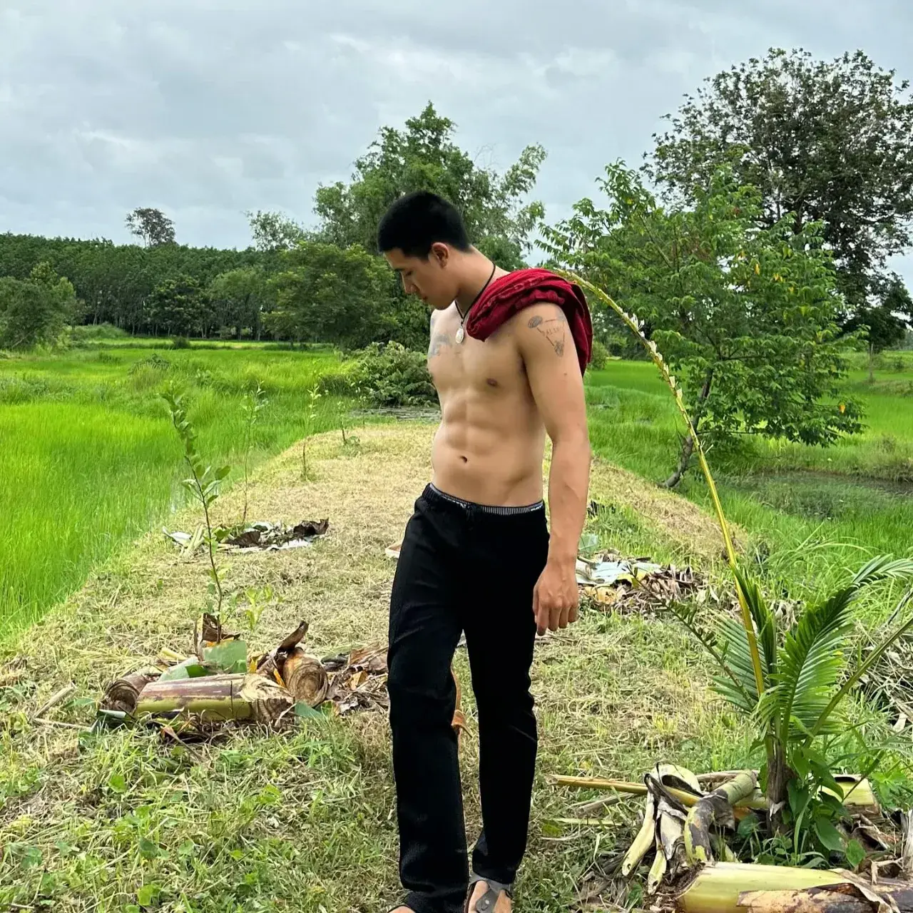 ถ้าเจอจะดูดให้ดิ้นเลย