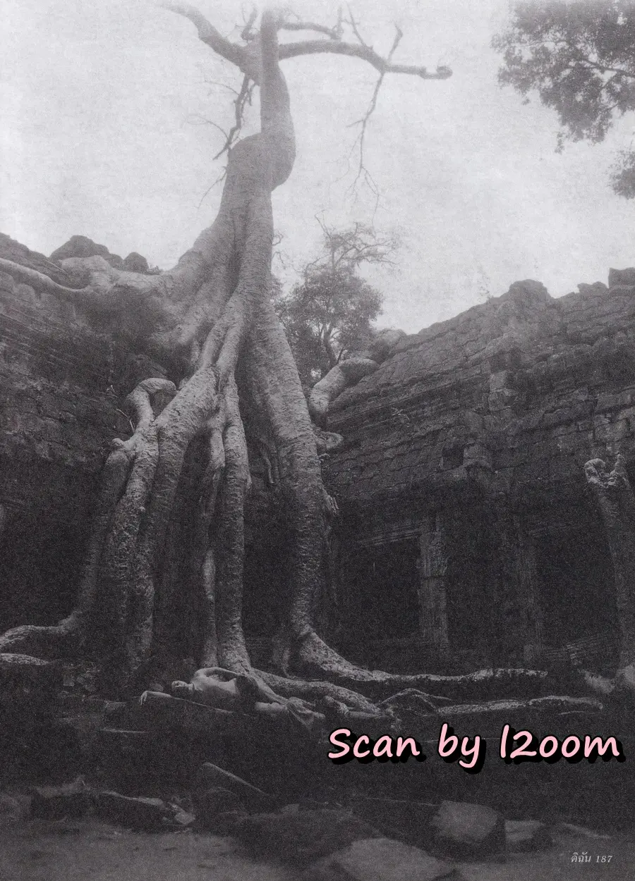 (วันวาน) ครีม เปรมสินี @ นิตยสาร ดิฉัน ปีที่ 24 ฉบับที่ 579 เมษายน 2544