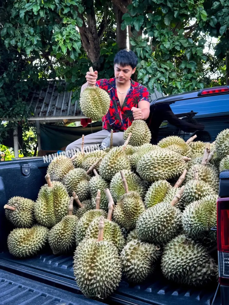 A gardener who loves cooking : Navudchakorn Sanandang