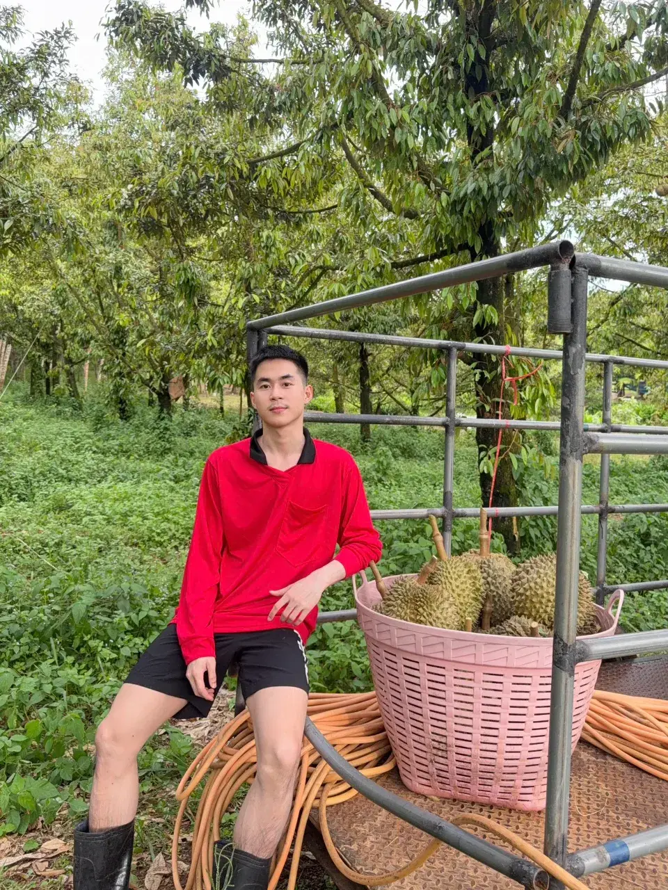 เลียแล้วให้มิด