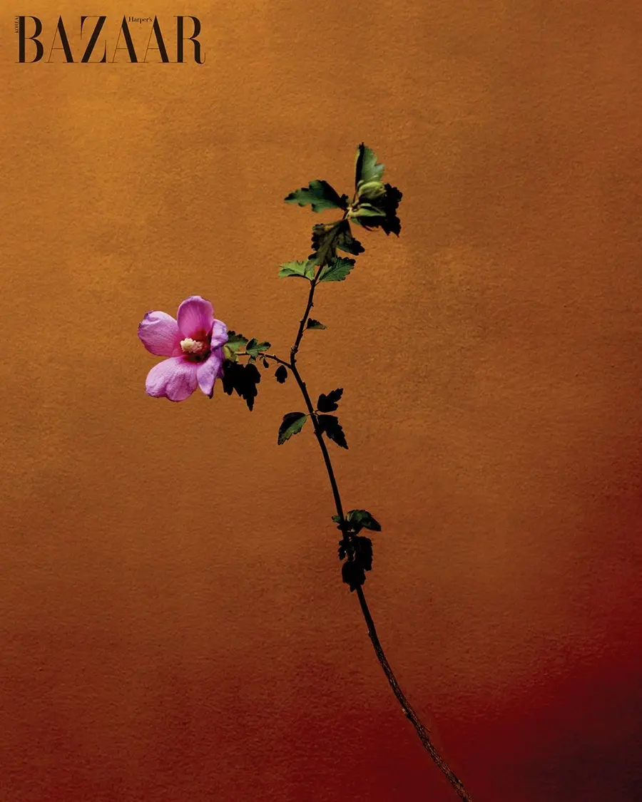 Park Bo Gum @ Harper's BAZAAR Korea October 2025 (SPECIAL EDITION)