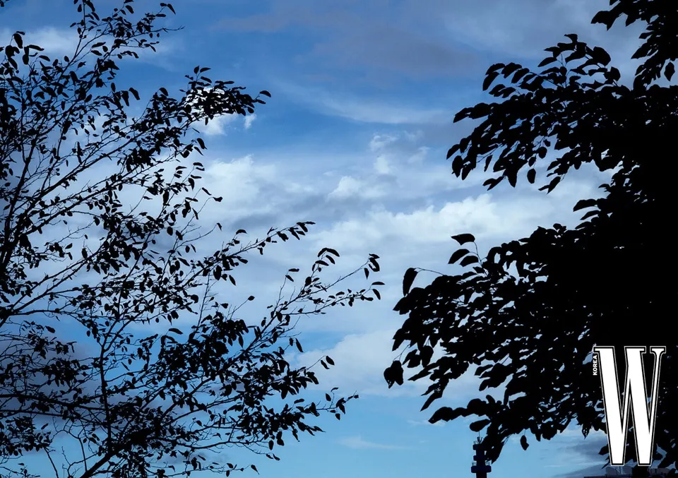 Park Chan Wook & Son Ye Jin @ W Korea October 2025