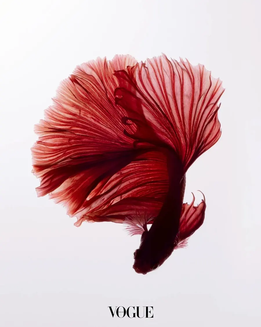 VOGUE Thailand September 2025