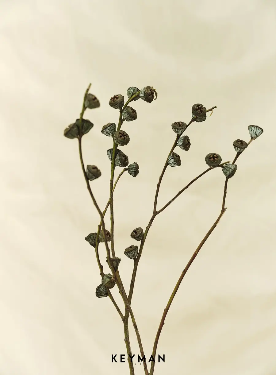 Ci Sha @ KEYMAN ZARD China September 2025