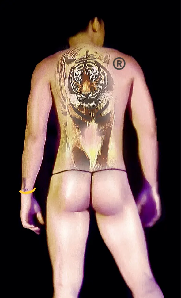 คู่เขยกลางวัน คู่ขากลางคืน