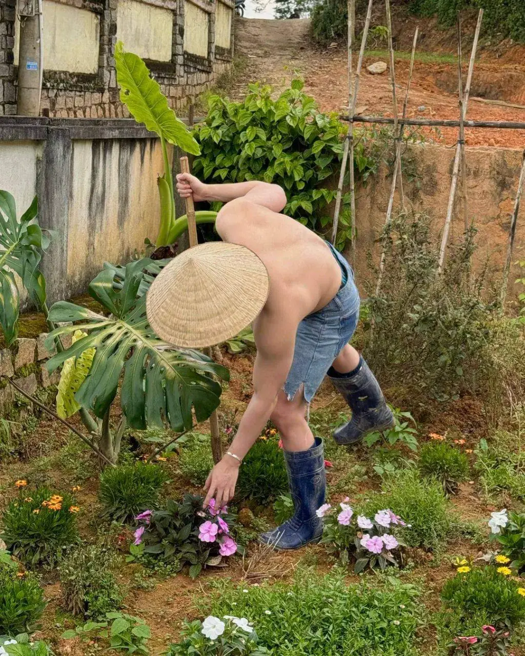 อ้าย..ชอบทำสวน